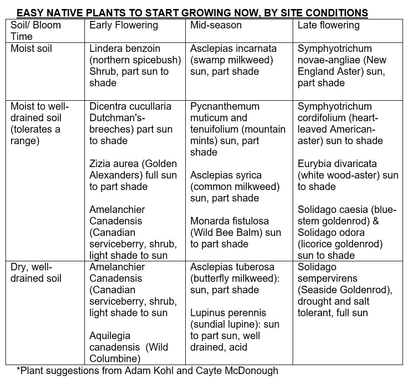 a chart of easy to grow native plants